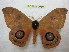 ( - BC-EvS 0980)  @13 [ ] Copyright (2010) Eric Van Schayck Unspecified