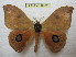  ( - BC-EvS 0982)  @14 [ ] Copyright (2010) Eric Van Schayck Unspecified
