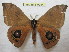  ( - BC-EvS 0984)  @14 [ ] Copyright (2010) Eric Van Schayck Unspecified