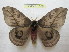  ( - BC-EvS 1005)  @11 [ ] Copyright (2010) Eric Van Schayck Unspecified