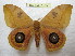  ( - BC-EvS 1012)  @14 [ ] Copyright (2010) Eric Van Schayck Unspecified