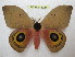  ( - BC-EvS 1024)  @14 [ ] Copyright (2010) Eric Van Schayck Unspecified