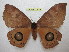  ( - BC-EvS 1030)  @11 [ ] Copyright (2010) Eric Van Schayck Unspecified