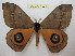  ( - BC-EvS 1031)  @14 [ ] Copyright (2010) Eric Van Schayck Unspecified