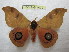  ( - BC-EvS 1039)  @14 [ ] Copyright (2010) Eric Van Schayck Unspecified