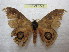  ( - BC-EvS 1042)  @13 [ ] Copyright (2010) Eric Van Schayck Unspecified