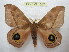  ( - BC-EvS 1047)  @14 [ ] Copyright (2010) Eric Van Schayck Unspecified