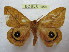  ( - BC-EvS 1056)  @13 [ ] Copyright (2010) Eric Van Schayck Unspecified