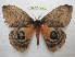  ( - BC-EvS 1086)  @14 [ ] Copyright (2010) Eric Van Schayck Unspecified