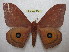  ( - BC-EvS 1134)  @14 [ ] Copyright (2010) Eric Van Schayck Unspecified