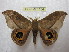  ( - BC-EvS 1154)  @13 [ ] Copyright (2010) Eric Van Schayck Research Collection of Eric Van Schayck