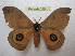  ( - BC-EvS 1182)  @11 [ ] Copyright (2010) Eric Van Schayck Research Collection of Eric Van Schayck