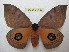  ( - BC-EvS 1183)  @11 [ ] Copyright (2010) Eric Van Schayck Research Collection of Eric Van Schayck