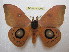  ( - BC-EvS 1204)  @14 [ ] Copyright (2010) Eric Van Schayck Research Collection of Eric Van Schayck