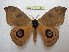  ( - BC-EvS 1206)  @13 [ ] Copyright (2010) Eric Van Schayck Research Collection of Eric Van Schayck