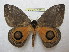  ( - BC-EvS 1211)  @14 [ ] Copyright (2010) Eric Van Schayck Research Collection of Eric Van Schayck