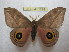 ( - BC-EvS 1228)  @14 [ ] Copyright (2010) Eric Van Schayck Research Collection of Eric Van Schayck