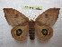  ( - BC-EvS 1229)  @14 [ ] Copyright (2010) Eric Van Schayck Research Collection of Eric Van Schayck