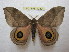  ( - BC-EvS 1230)  @14 [ ] Copyright (2010) Eric Van Schayck Research Collection of Eric Van Schayck