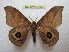  ( - BC-EvS 1233)  @14 [ ] Copyright (2010) Eric Van Schayck Research Collection of Eric Van Schayck