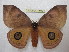  ( - BC-EvS 1265)  @14 [ ] Copyright (2010) Eric Van Schayck Research Collection of Eric Van Schayck
