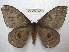  ( - BC-EvS 1266)  @14 [ ] Copyright (2010) Eric Van Schayck Research Collection of Eric Van Schayck