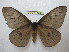  ( - BC-EvS 1267)  @11 [ ] Copyright (2010) Eric Van Schayck Research Collection of Eric Van Schayck