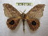  ( - BC-EvS 1286)  @13 [ ] Copyright (2010) Eric Van Schayck Research Collection of Eric Van Schayck