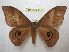 ( - BC-EvS 1310)  @14 [ ] Copyright (2010) Eric Van Schayck Research Collection of Eric Van Schayck