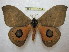  ( - BC-EvS 1314)  @14 [ ] Copyright (2010) Eric Van Schayck Research Collection of Eric Van Schayck