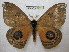  ( - BC-EvS 1318)  @13 [ ] Copyright (2010) Eric Van Schayck Research Collection of Eric Van Schayck
