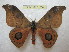  ( - BC-EvS 1324)  @14 [ ] Copyright (2010) Eric Van Schayck Research Collection of Eric Van Schayck