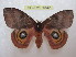  ( - BC-EvS 1342)  @13 [ ] Copyright (2010) Eric Van Schayck Research Collection of Eric Van Schayck