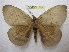  ( - BC-EvS 1364)  @14 [ ] Copyright (2010) Eric Van Schayck Research Collection of Eric Van Schayck