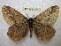  ( - BC-EvS 1374)  @12 [ ] Copyright (2010) Eric Van Schayck Research Collection of Eric Van Schayck