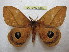  ( - BC-EvS 1389)  @11 [ ] Copyright (2010) Eric Van Schayck Research Collection of Eric Van Schayck