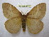  ( - BC-EvS 1416)  @13 [ ] Copyright (2010) Eric Van Schayck Research Collection of Eric Van Schayck