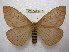  ( - BC-EvS 1418)  @14 [ ] Copyright (2010) Eric Van Schayck Research Collection of Eric Van Schayck