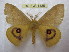  ( - BC-EvS 1435)  @11 [ ] Copyright (2010) Eric Van Schayck Research Collection of Eric Van Schayck