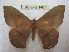  ( - BC-EvS 1467)  @14 [ ] Copyright (2010) Eric Van Schayck Research Collection of Eric Van Schayck