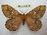  ( - BC-EvS 1488)  @11 [ ] Copyright (2010) Eric Van Schayck Research Collection of Eric Van Schayck