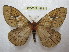  ( - BC-EvS 1489)  @11 [ ] Copyright (2010) Eric Van Schayck Research Collection of Eric Van Schayck