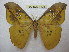  ( - BC-EvS 1498)  @11 [ ] Copyright (2010) Eric Van Schayck Research Collection of Eric Van Schayck