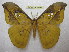  ( - BC-EvS 1499)  @14 [ ] Copyright (2010) Eric Van Schayck Research Collection of Eric Van Schayck
