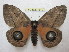  ( - BC-EvS 1510)  @14 [ ] Copyright (2010) Eric Van Schayck Research Collection of Eric Van Schayck