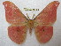  ( - BC-EvS 1518)  @14 [ ] Copyright (2010) Eric Van Schayck Research Collection of Eric Van Schayck