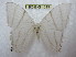  ( - BC-EvS 1619)  @13 [ ] Copyright (2010) Eric Van Schayck Research Collection of Eric Van Schayck