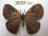  ( - BC-EvS 1655)  @13 [ ] Copyright (2010) Eric Van Schayck Research Collection of Eric Van Schayck
