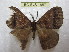  ( - BC-EvS 1657)  @13 [ ] Copyright (2010) Eric Van Schayck Research Collection of Eric Van Schayck