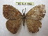  ( - BC-EvS 1662)  @14 [ ] Copyright (2010) Eric Van Schayck Research Collection of Eric Van Schayck